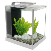 Аквариумный набор Fluval «Spec» белый, прямой (10 л)