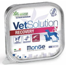 Вологий корм Monge Vetsolution Recovery Canine для собак для відновлення 150г х 24шт