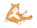 Котам