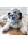 Купить Игрушка Kong Puppy Goodie Bone с веревкой для щенков миниатюрных пород, XS
