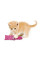 Купить Игрушка KONG Kickeroo Kitten для котят, 21,6x5,7 см, цвета в ассортименте
