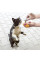 Купить Кошачья мята для наполнения игрушек KONG Cat Refillables Catnip Tubes, 9 г