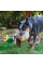Купить Игрушка для собак KONG Dog Shakers Honkers Duck плюшевая утка с пищалкой L