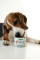 Мус-стартер Nature's Protection Puppy Starter Mousse Chicken для цуценят з курки, 200 г