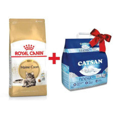 Корм для взрослых кошек ROYAL CANIN MAINECOON ADULT 4 кг + 5 л catsan в подарок!