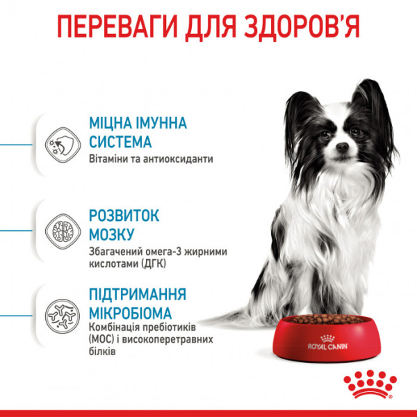 Корм для цуценят ROYAL CANIN XSMALL PUPPY 3 кг+контейнер!