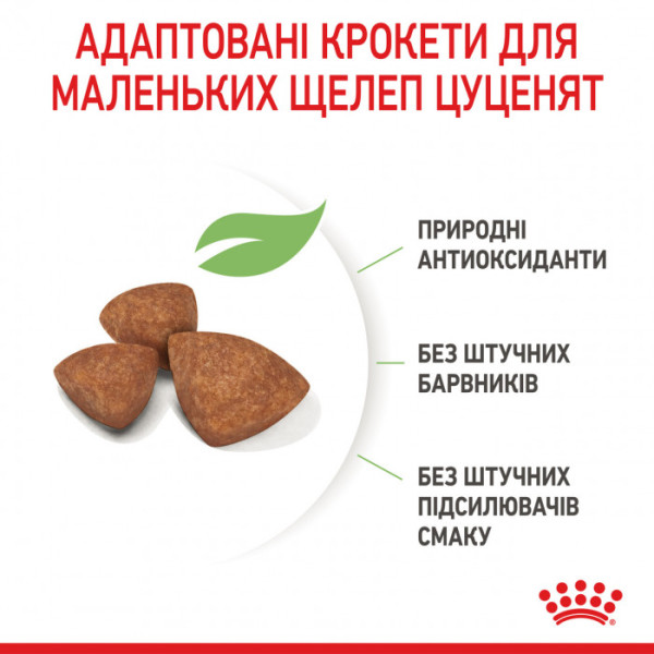 Корм для цуценят ROYAL CANIN XSMALL PUPPY 3 кг+контейнер!