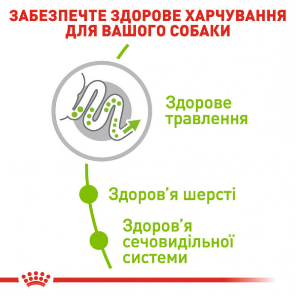 Акція! Корм для дорослих собак ROYAL CANIN XSMALL ADULT 1.5 кг + пакування 500 г у подарунок