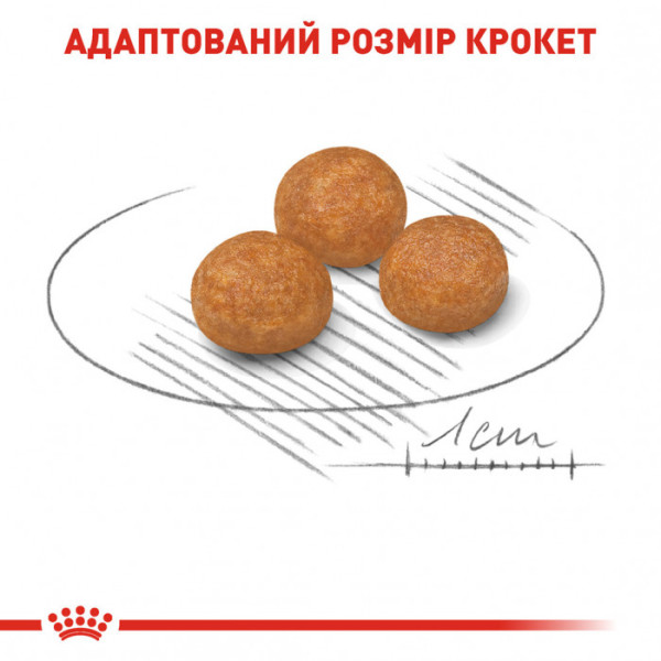 Акція! Корм для дорослих собак ROYAL CANIN XSMALL ADULT 1.5 кг + пакування 500 г у подарунок