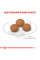 Корм для дорослих собак ROYAL CANIN XSMALL ADULT 8+ 3 кг