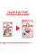 Вологий корм для стерилізованих кошенят ROYAL CANIN KITTEN STERILISED IN GRAVY 85 г * 12 шт
