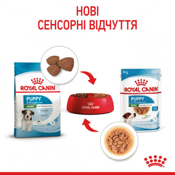 Акція! Вологий корм для цуценят ROYAL CANIN MINI PUPPY 0.085г 8+4