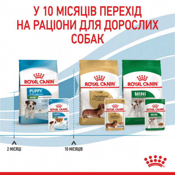 Акція! Вологий корм для цуценят ROYAL CANIN MINI PUPPY 0.085г 8+4