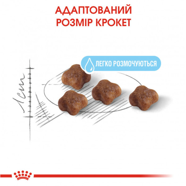 Акція! ROYAL CANIN BABYCAT 2 кг. Набір для кошеняти: корм + плед і миска в подарунок