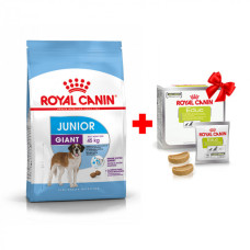 Акция! Корм для молодых собак ROYAL CANIN GIANT JUNIOR 15.0 кг + упаковка лакомства EDUC в подарок