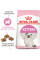 Акція! Корм для кошенят ROYAL CANIN KITTEN 4 кг + масажний центр у подарунок