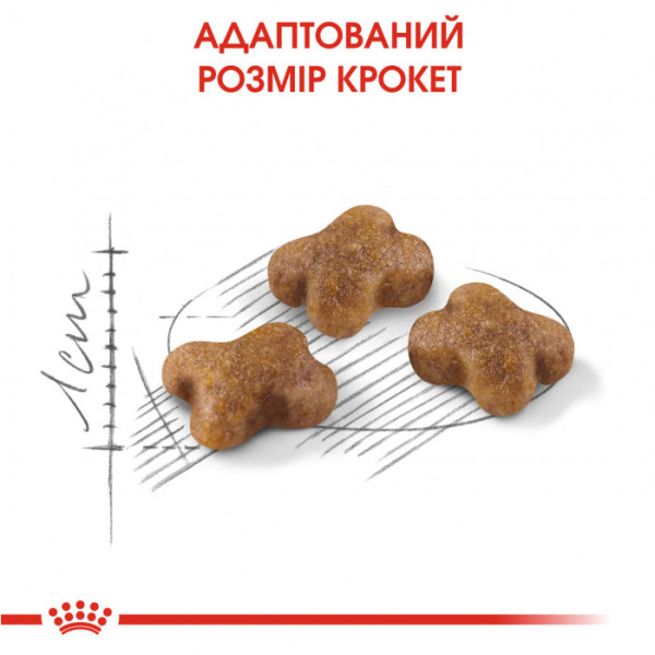 Акція! Корм для кошенят ROYAL CANIN KITTEN 4 кг + масажний центр у подарунок
