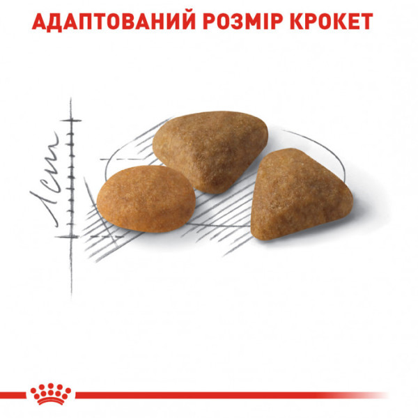Акція! Корм для котів ROYAL CANIN EXIGENT SAVOUR 2 кг + 400 г у подарунок