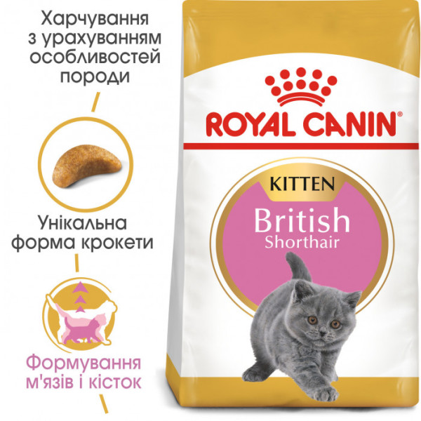 Акція! Корм для кошенят ROYAL CANIN KITTEN BRITISH SHORTHAIR 2 кг + 400 г у подарунок