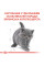 Акція! Корм для кошенят ROYAL CANIN KITTEN BRITISH SHORTHAIR 2 кг + 400 г у подарунок
