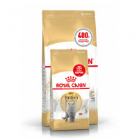 Акція! Корм для дорослих котів ROYAL CANIN BRITISH SHORTHAIR ADULT 2 кг + 400 г у подарунок