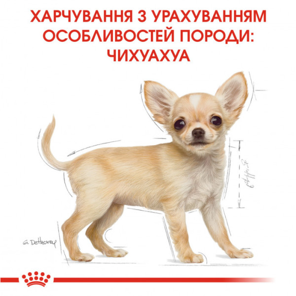 Акція! Корм для цуценят ROYAL CANIN CHIHUAHUA PUPPY 1.5 кг + 500 г у подарунок
