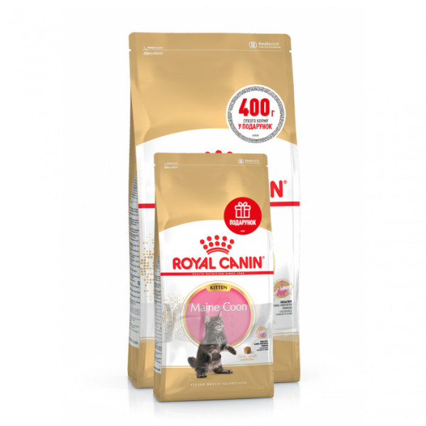 Акція! Корм для кошенят ROYAL CANIN MAINECOON KITTEN 2 кг + 400 г у подарунок