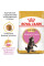 Акція! Корм для кошенят ROYAL CANIN MAINECOON KITTEN 2 кг + 400 г у подарунок