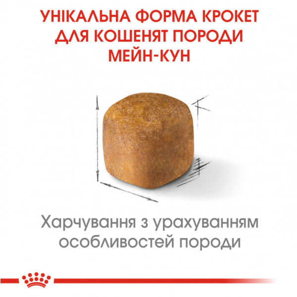 Акція! Корм для кошенят ROYAL CANIN MAINECOON KITTEN 2 кг + 400 г у подарунок