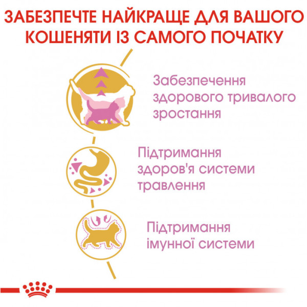 Акція! Корм для кошенят ROYAL CANIN MAINECOON KITTEN 2 кг + 400 г у подарунок