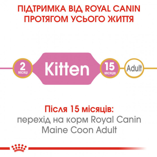 Акція! Корм для кошенят ROYAL CANIN MAINECOON KITTEN 2 кг + 400 г у подарунок