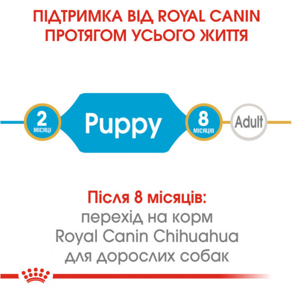 Акція ! Корм для цуценят ROYAL CANIN CHIHUAHUA PUPPY 1.5 кг + 4 шт вологого корму в подарунок !