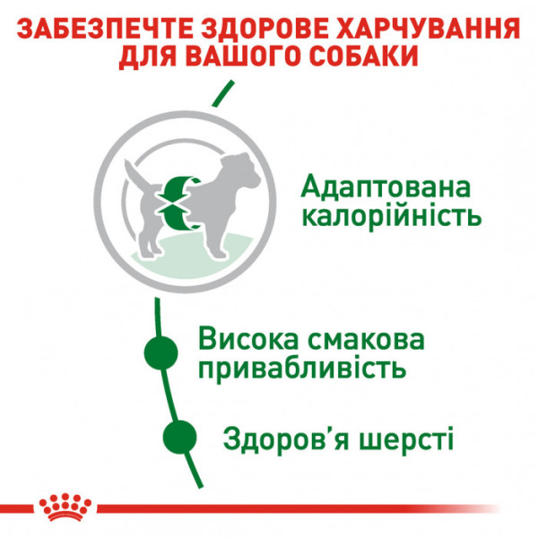 Акція ! Корм для дорослих собак ROYAL CANIN MINI ADULT 2 кг + 4 шт вологого корму в подарунок !