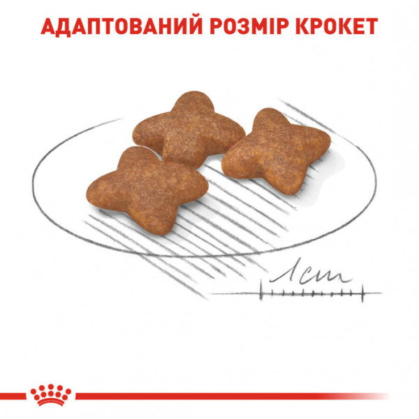 Акція ! Корм для дорослих собак ROYAL CANIN MINI ADULT 2 кг + 4 шт вологого корму в подарунок !