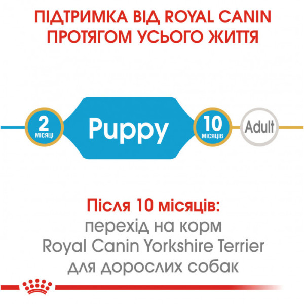 Акція ! Корм для цуценят ROYAL CANIN YORKSHIRE PUPPY 1.5 кг + 4 шт вологого корму в подарунок !