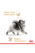 Акція ! Корм для дорослих собак ROYAL CANIN POMERANIAN ADULT 1.5 кг + 4 шт вологого корму в подарунок !