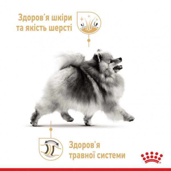 Акція ! Корм для дорослих собак ROYAL CANIN POMERANIAN ADULT 1.5 кг + 4 шт вологого корму в подарунок !