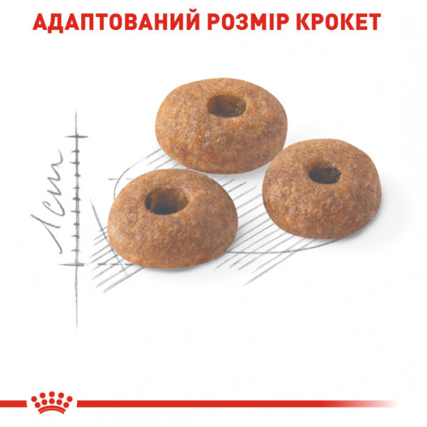 Акція ! Корм для домашніх та вуличних котів ROYAL CANIN FIT 2 кг + 4 шт вологого корму в подарунок !