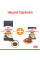 Акция ! Корм для котів ROYAL CANIN HAIR&SKIN CARE 2 кг + 4 шт вологого корму в подарунок !