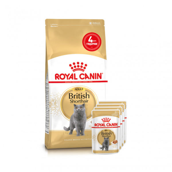 Акція ! Корм для дорослих котів ROYAL CANIN BRITISH SHORTHAIR ADULT 2 кг + 4 шт вологого корму в подарунок !