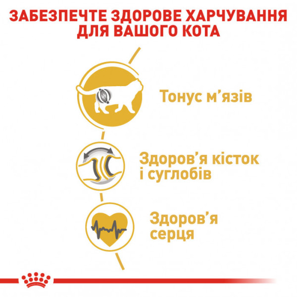 Акція ! Корм для дорослих котів ROYAL CANIN BRITISH SHORTHAIR ADULT 2 кг + 4 шт вологого корму в подарунок !