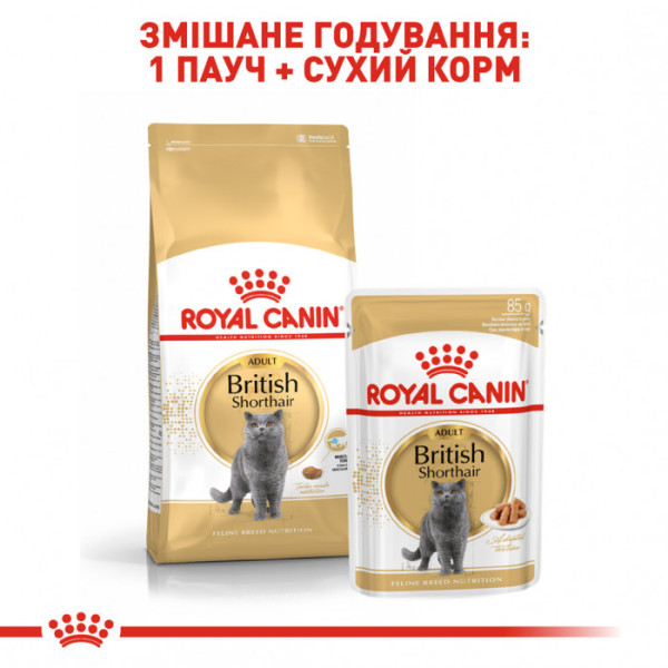 Акція ! Корм для дорослих котів ROYAL CANIN BRITISH SHORTHAIR ADULT 2 кг + 4 шт вологого корму в подарунок !