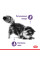 Акция ! Корм для дорослих стерилізованих котів ROYAL CANIN APPETITE CONTROL CARE 2 кг + 4 шт вологого корму в подарунок !