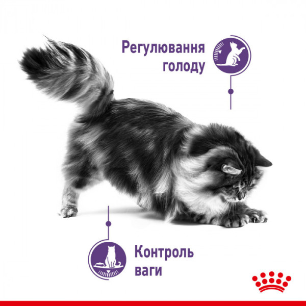 Акция ! Корм для дорослих стерилізованих котів ROYAL CANIN APPETITE CONTROL CARE 2 кг + 4 шт вологого корму в подарунок !