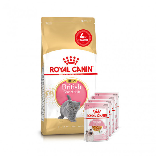 Акция ! Корм для кошенят ROYAL CANIN KITTEN BRITISH SHORTHAIR 2 кг + 4 шт вологого корму в подарунок !