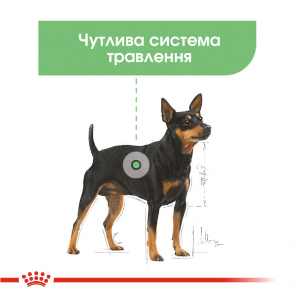 Вологий корм для собак ROYAL CANIN DIGESTIVE CARE LOAF 85 кг x 12 шт