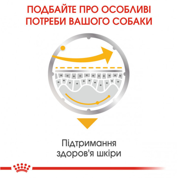 Вологий корм для собак ROYAL CANIN DERMACOMFORT LOAF 85 г x 12 шт