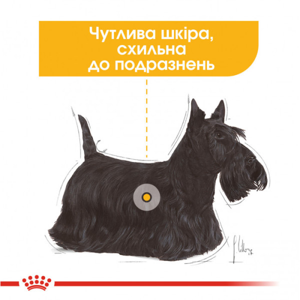 Вологий корм для собак ROYAL CANIN DERMACOMFORT LOAF 85 г x 12 шт