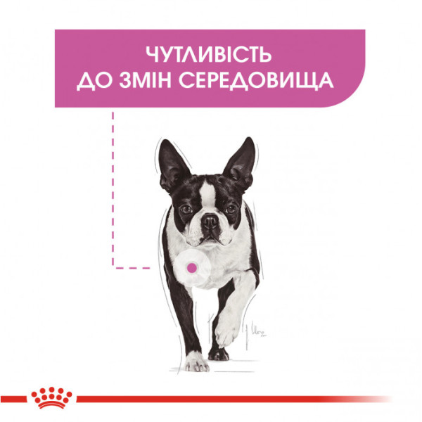 Вологий корм для собак ROYAL CANIN RELAX CARE LOAF 85 г x 12 шт.
