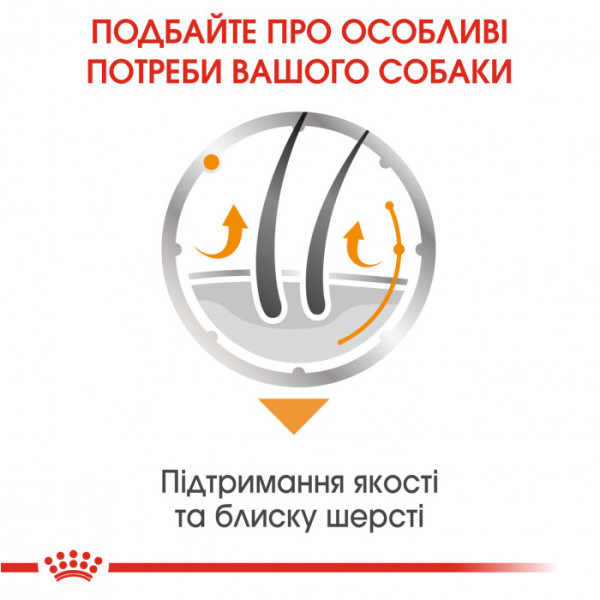 Вологий корм для собак ROYAL CANIN COAT BEAUTY LOAF 85 г x 12 шт.